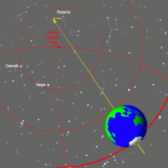 The 25,700 year cycle of precession as seen from near the Earth. The current north pole star is Polaris (top). In about 8,000 years it will be the bright star Deneb (left), and in about 12,000 years, Vega (left center). The Earth's rotation is not depicted to scale – in this span of time, it would actually rotate over 4 million times.