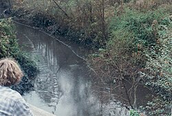 Wolf Creek on October 22, 2000