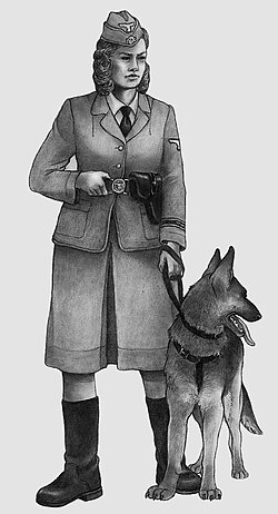 Artistic depiction of an Aufseherin uniform