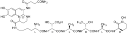 Pyoverdine, a mixed-ligand siderophore