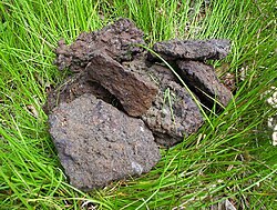Bog iron ore