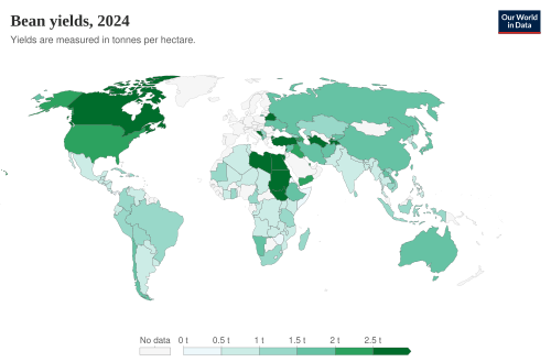 Bean yields