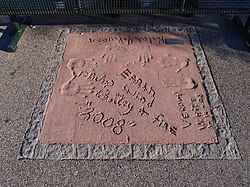 Earth, Wind & Fire tribute, Munich Olympic Walk of Stars on April 9, 2011