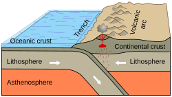 Oceanic-continental convergence resulting in subduction and volcanic arcs illustrates one effect of plate tectonics.