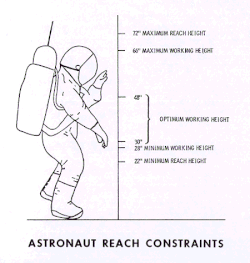 Diagram showing the astronauts' vertical range of motion