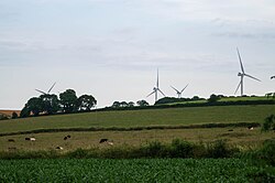 Wind turbines at Den Brook, Devon. The UK is one of the best sites in Europe for wind energy, and wind power production is its fastest growing supply.[185][186]