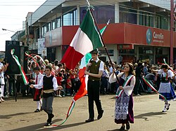 Italian Argentines during the opening parade of the XXXIV Immigrant's Festival in Oberá, Misiones. An estimated 62.5% of Argentina's population has Italian ancestry.[62]
