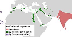 The cultivation of sugarcane had reached the south of the Iberian Peninsula by the 16th century AD due to Arab conquest and administration of the region.