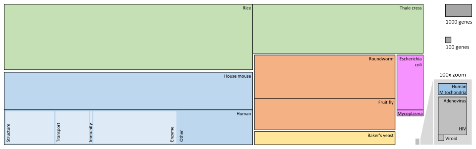 Depiction of numbers of genes for representative plants (green), vertebrates (blue), invertebrates (orange), fungi (yellow), bacteria (purple), and viruses (grey). An inset on the right shows the smaller genomes expanded 100-fold area-wise.[87][88][89][90][91][92][93][94]
