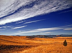 Short-grass prairie near the front range of the Rockies in Colorado