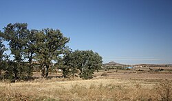 East Thrace landscape in Edirne Province, Turkey