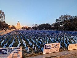 27,400 flags planted on the National Mall in March 2025, representing the estimated number of people aged 20-49 in the United States who will be diagnosed with colorectal cancer in 2030, as part of a campaign to secure research funding for the disease