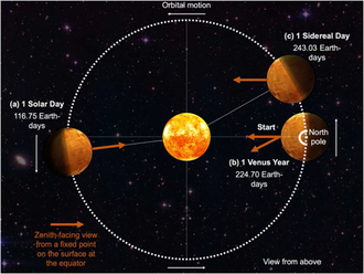 Venus and its rotation in respect to its revolution