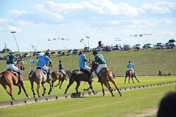 A match between Argentina and Mexico at the 2011 World Polo Championships