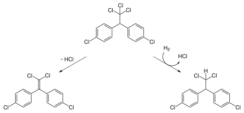 Degradation of DDT to form DDE (by elimination of HCl, left) and DDD (by reductive dechlorination, right)