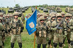 Romanian soldiers at the Saber Guardian 23 exercise opening ceremony in Smârdan, Galați
