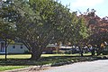 Longview Gardens Historic District