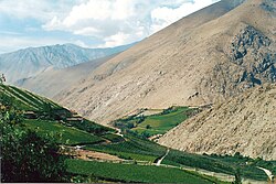 Agriculture in Elqui valley