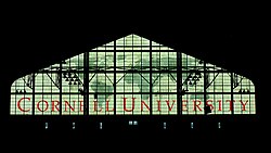 The interior windows of Barton Hall, an on-campus field house
