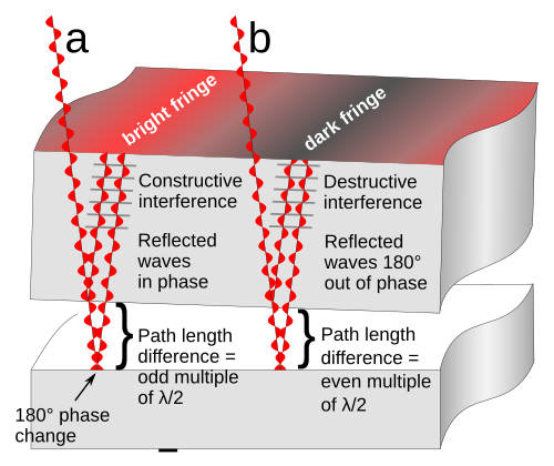 How interference fringes are formed by an optical flat resting on a reflective surface. The gap between the surfaces and the wavelength of the light waves are greatly exaggerated.