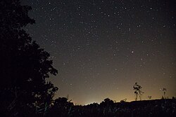 Stars in the night sky
