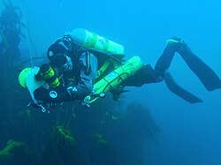 A diver is carrying two cylinders, one on his back and the other at his side.