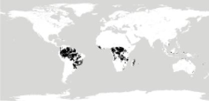 Oxisols of the world