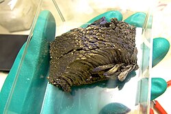 About 300 g of dendritic sublimated 99.998% pure europium handled in a glove box