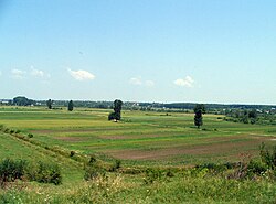 The Wallachian Plain, in the southern part of Argeș County