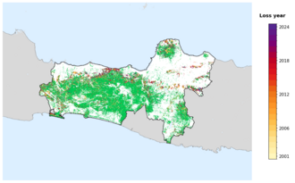 Map of Central Java showing tree-cover loss years, with forest remaining since 2000 in green and loss years shaded yellow through purple.