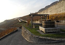 Antique wooden wine press in front of World Heritage vineyards