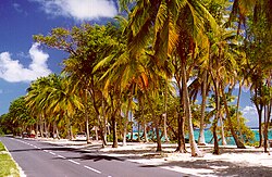 A road on Marie-Galante