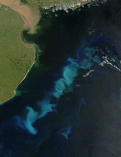 An oceanic phytoplankton bloom in the South Atlantic Ocean, off the coast of Argentina. Encouraging such blooms with iron fertilization could lock up carbon on the seabed. However, this approach is currently (2022) no longer being actively pursued.