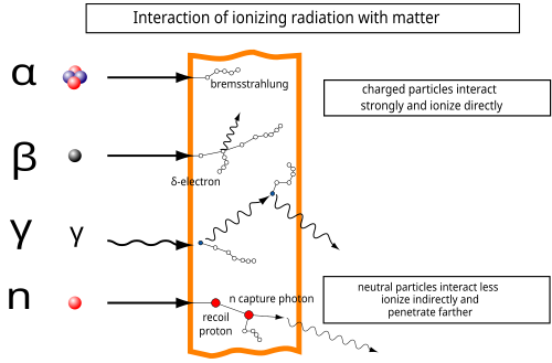 Radiation interaction: gamma rays are represented by wavy lines, charged particles and neutrons by straight lines. The small circles show where ionization occurs.