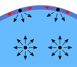 Diagram of the cohesive forces on molecules of a liquid