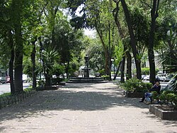 Park median in Avenida Álvaro Obregón