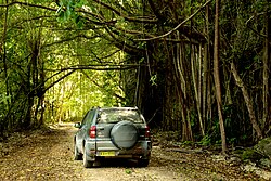 Driving on the backroads of Christmas Island