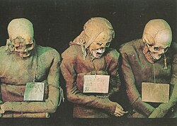 Mummies in the Friars' Corridor of the Catacombe dei Cappuccini.