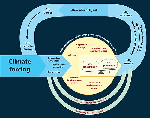 Methane climate feedbacks in natural ecosystems.
