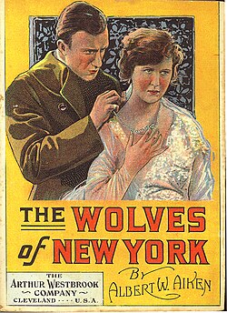 An example of a "thick book" series, American Detective Series, no. 21, Arthur Westbrook Co.