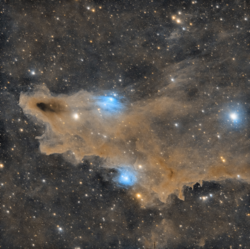 The Shark Nebula is a dark cloud reflection nebula in the constellation Cepheus.