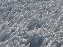 Small penitentes in the summit crater of Mount Rainier