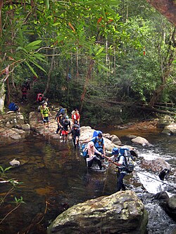 Hikers making a river crossing near Mount Tahan in Malaysia