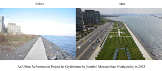 An urban reforestation in Zeytinburnu, Constantinople