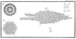 William Herschel's model of the Milky Way, 1785