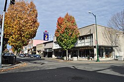 East side of 100 block of S. Meridian; in foreground, an antique shop in a former J.C. Penney