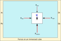 Forces on an immersed cube