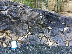 Pillow lava at Boatman's Harbour. Oamaru, New Zealand.