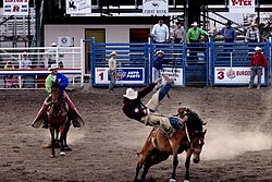 Saddle bronc riding; in rough stock events, the animal usually "wins."