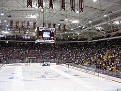 3M Arena at Mariucci is home to the men's ice hockey team.